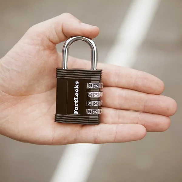 FortLocks lock in use